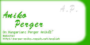 aniko perger business card